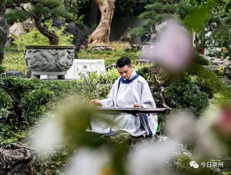 故园春晓 善颂遗风——《寒食帖》首藏地崇州举行纪念活动