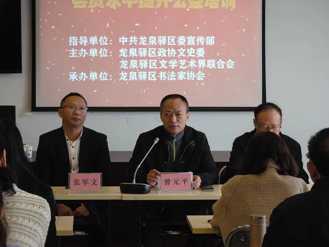 龙泉驿区书法家协会第四期会员水平提升公益培训班成功举办